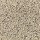 Horizon Carpet: Modern Mix (F) Whole Grain(F)